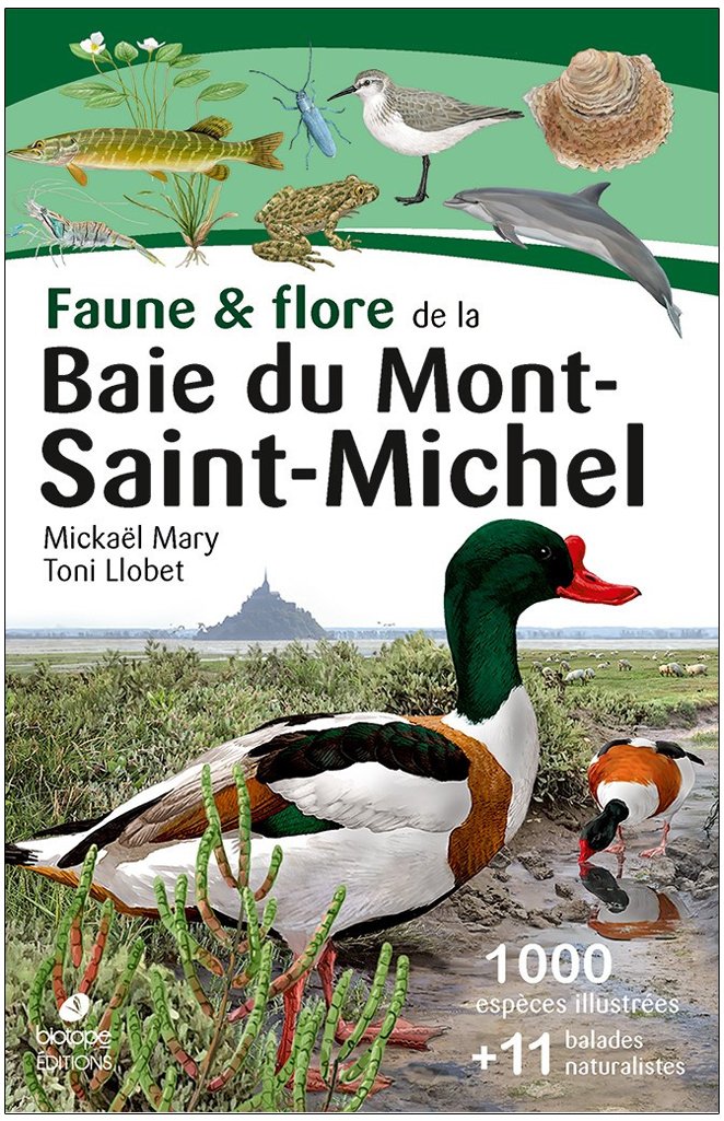 faune & flore de la baie du mont-saint-michel