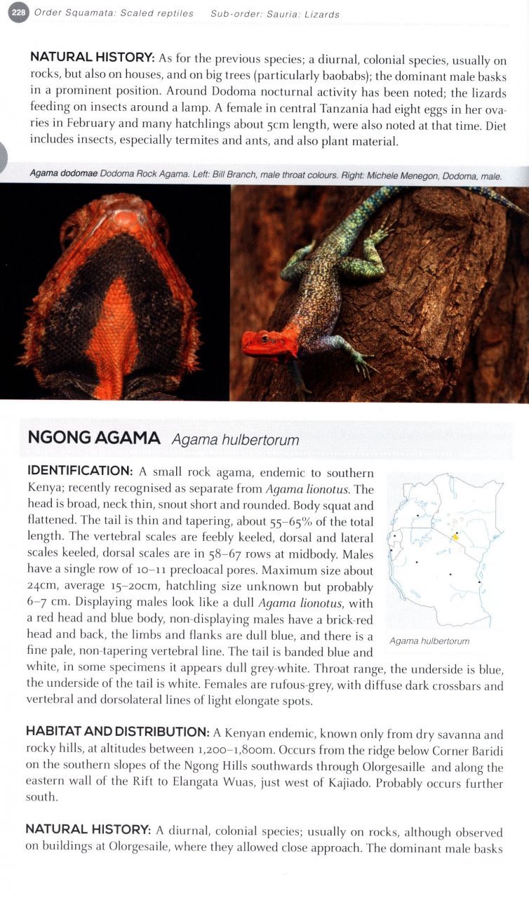 field guide to east african reptiles