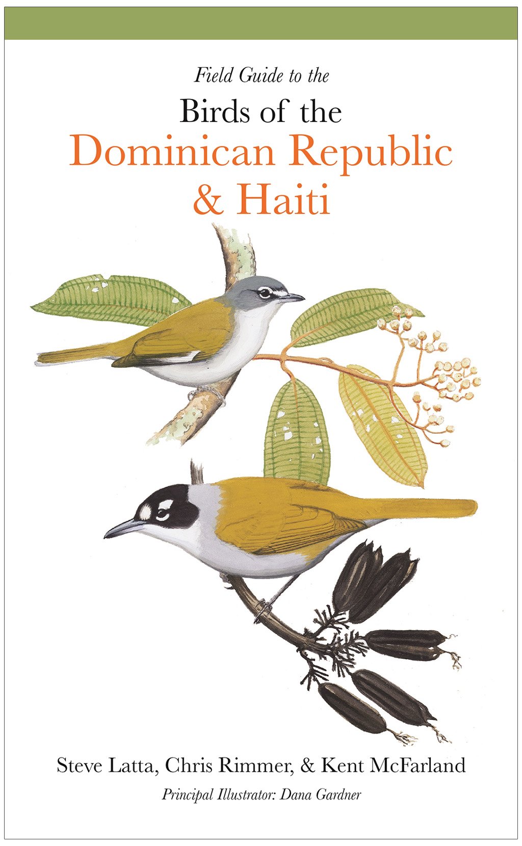 field guide to the birds of the dominican republic and haiti