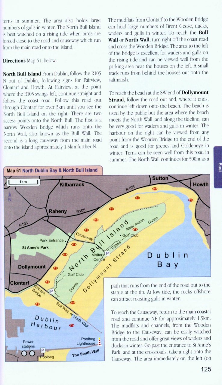 finding birds in ireland