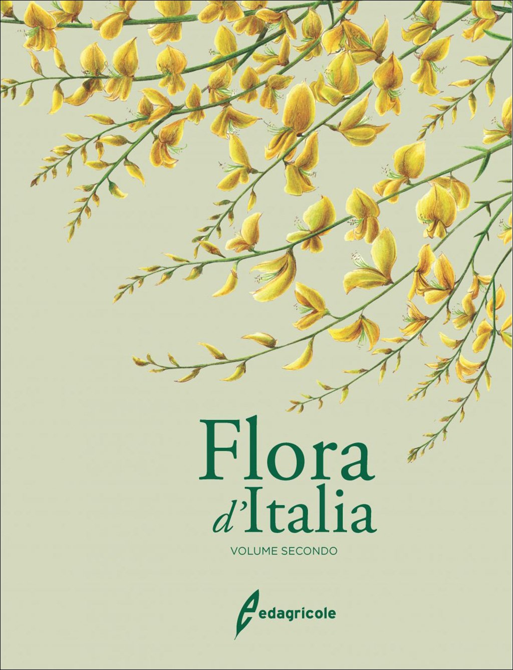 flora d'italia volume secondo