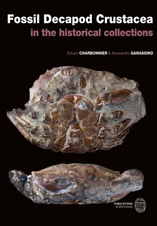 fossil decapod crustacea in the historical collection
