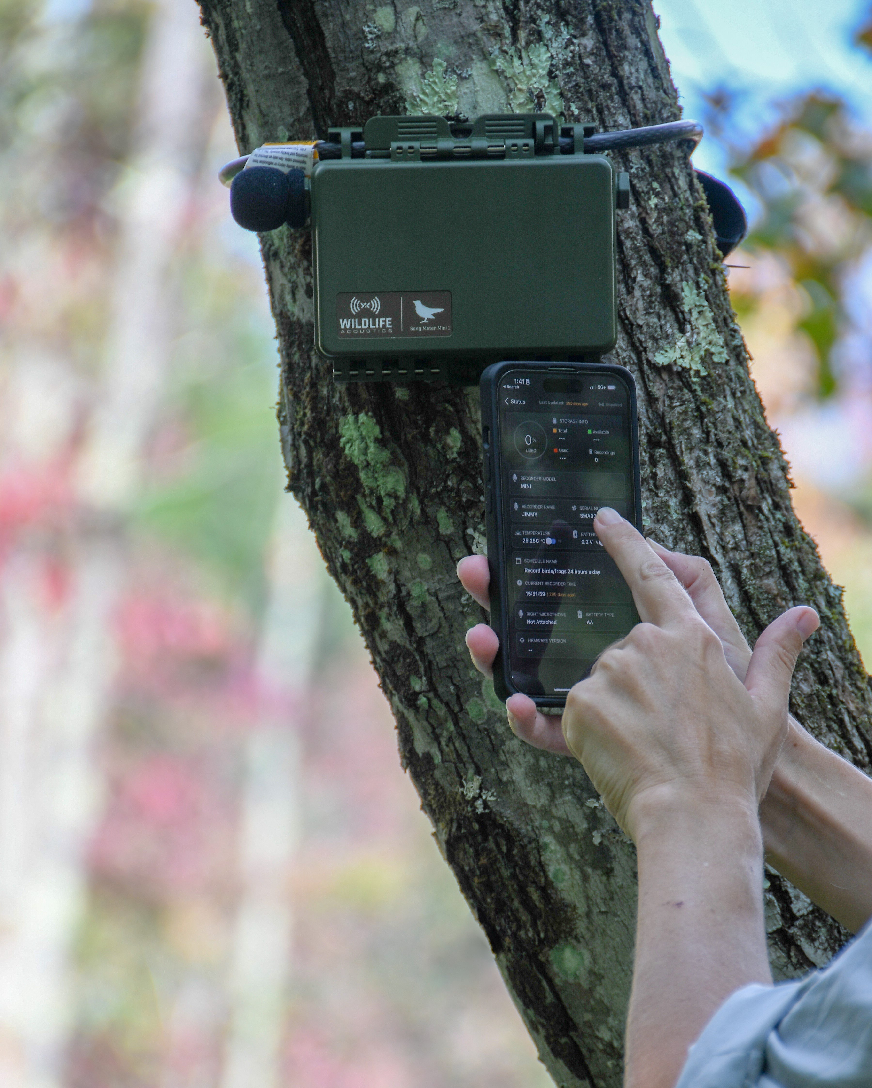 grabadora pasiva de sonidos audibles song meter mini 2 para pilas aa de wildlife acoustics (sm mini 2 aa)