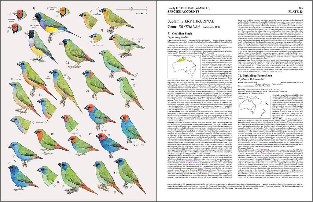 handbook of the birds of the world, vol. 15 . weavers to new world warblers