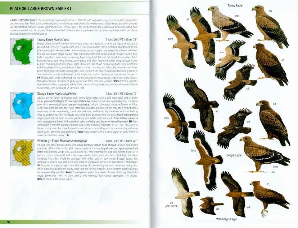 helm field guides. birds of east africa. kenya, tanzania, uganda, rwanda, burundi