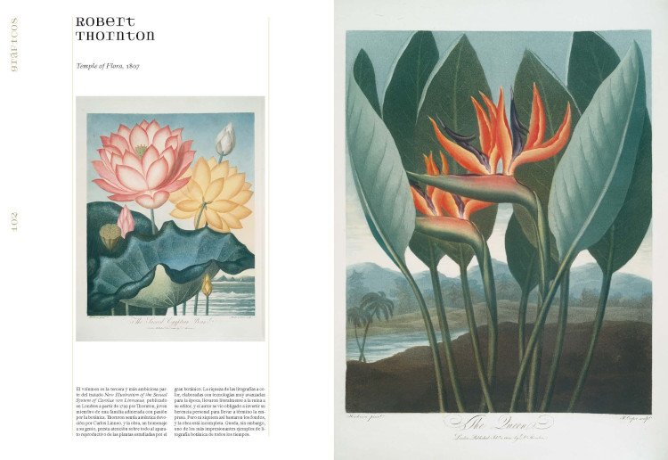herbaria