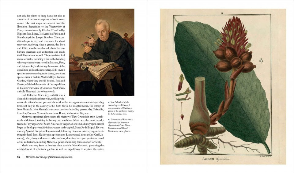 herbarium. the quest to preserve and classify the world's plants