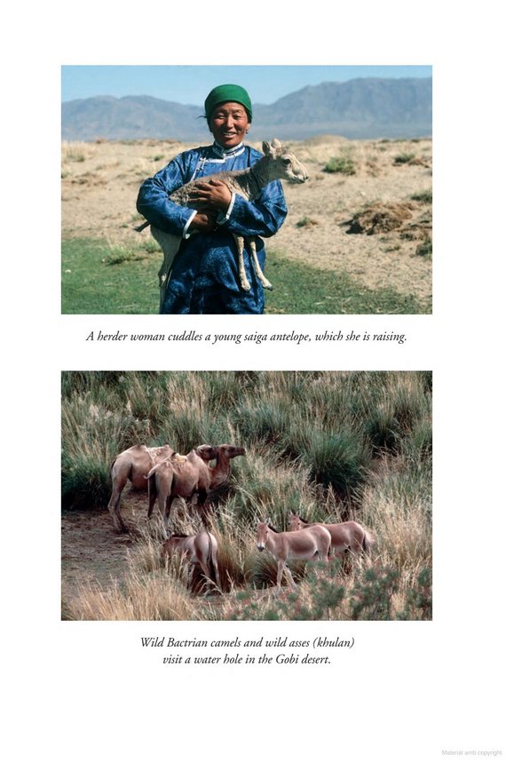 into wild mongolia