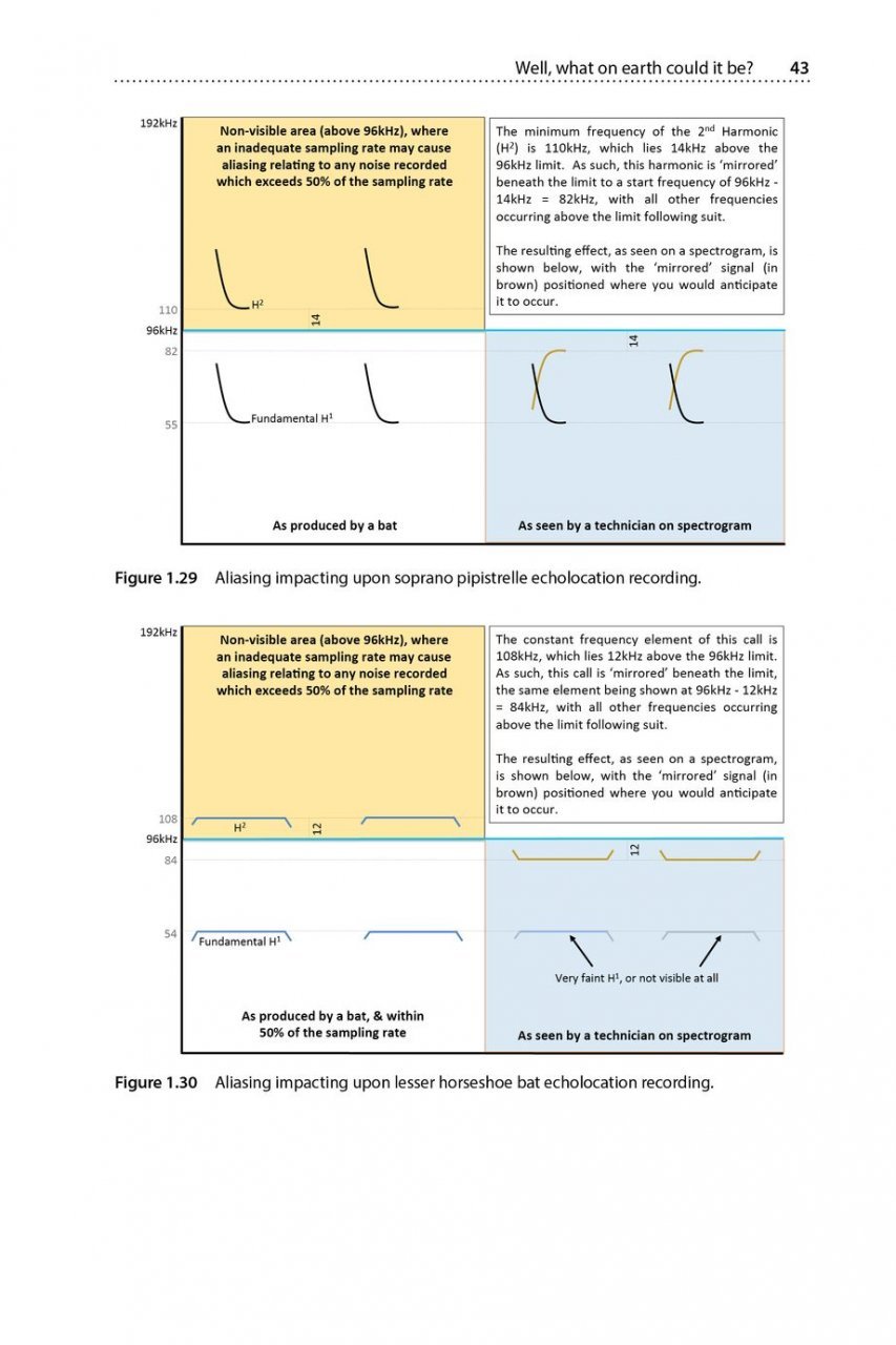 is that a bat?: a guide to non-bat sounds encountered during bat surveys