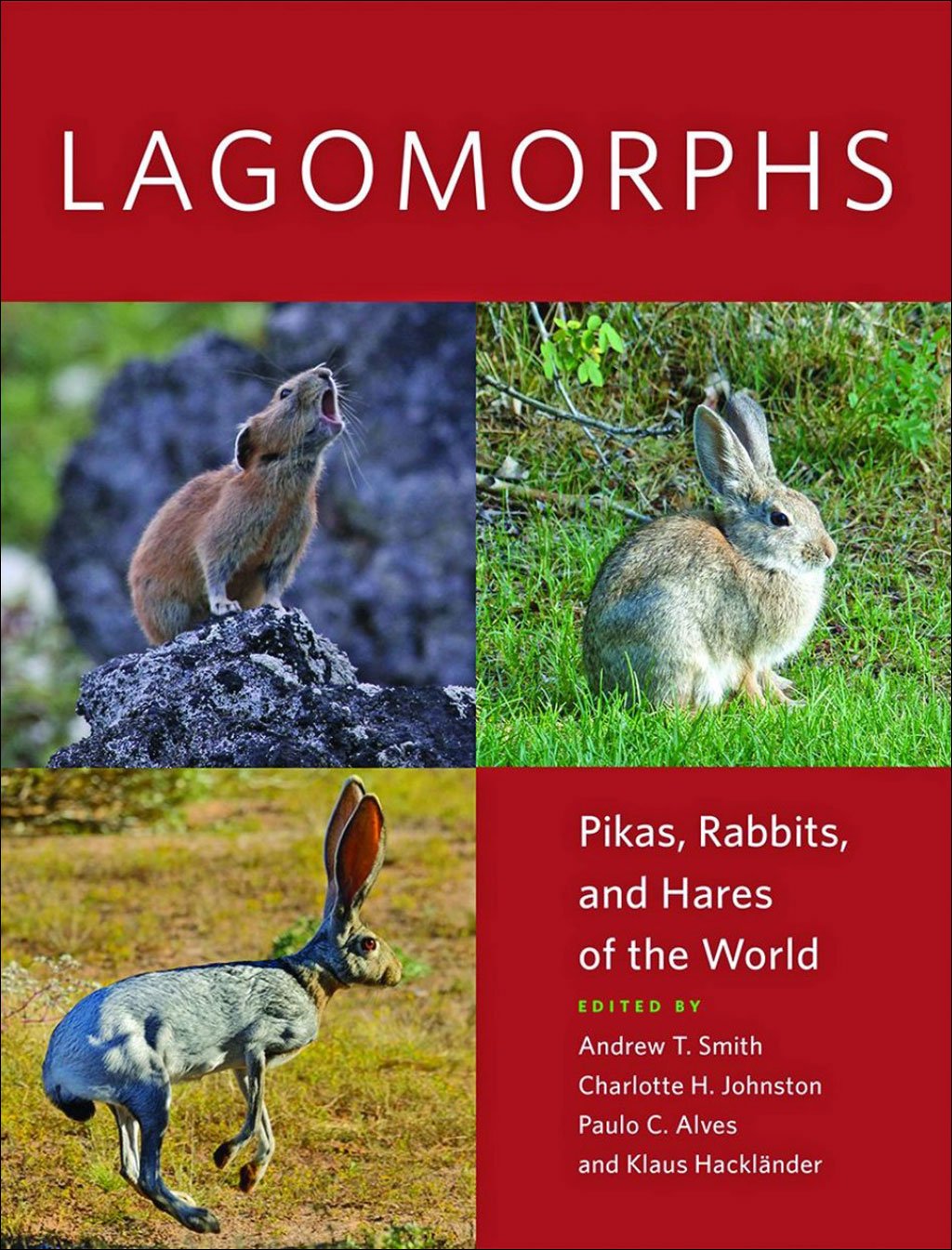 lagomorphs: pikas, rabbits, and hares of the world