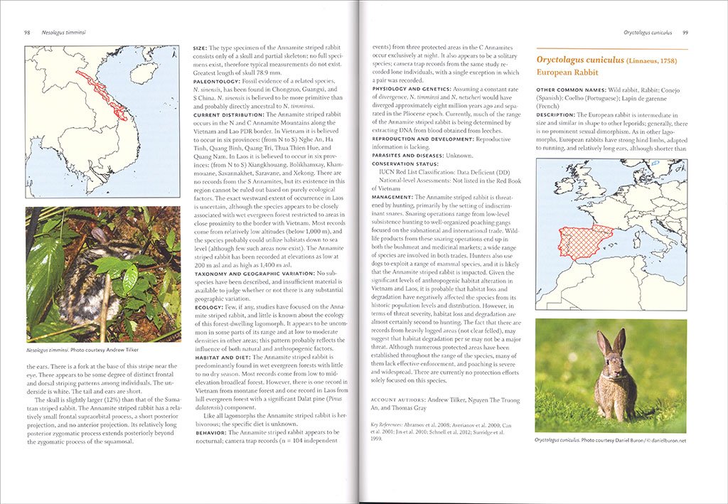 lagomorphs: pikas, rabbits, and hares of the world