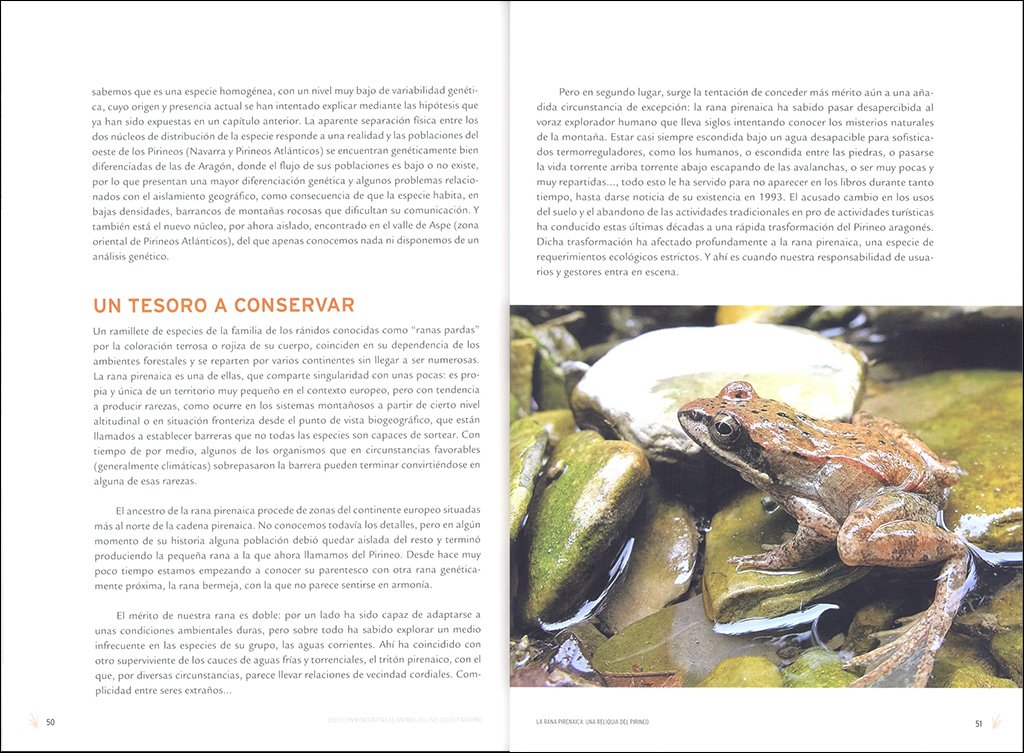 la rana pirenaica: una reliquia del pirineo