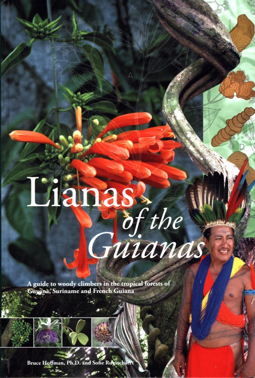 lianas of the guianas