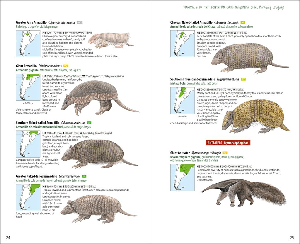 lynx illustrated checklists. mammals of the southern cone. argentina, chile, paraguay, uruguay