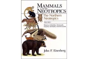mammals of central & south america