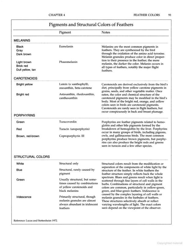 manual of ornithology: avian structure and function
