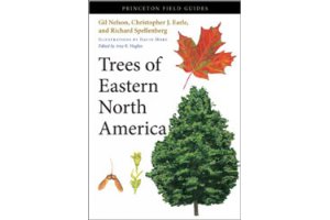 north america