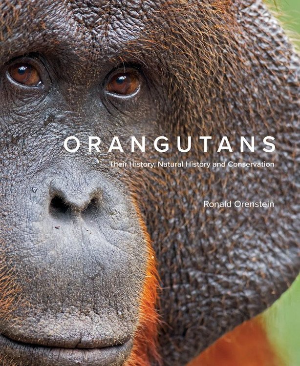 orangutans. their history, natural history and conservation