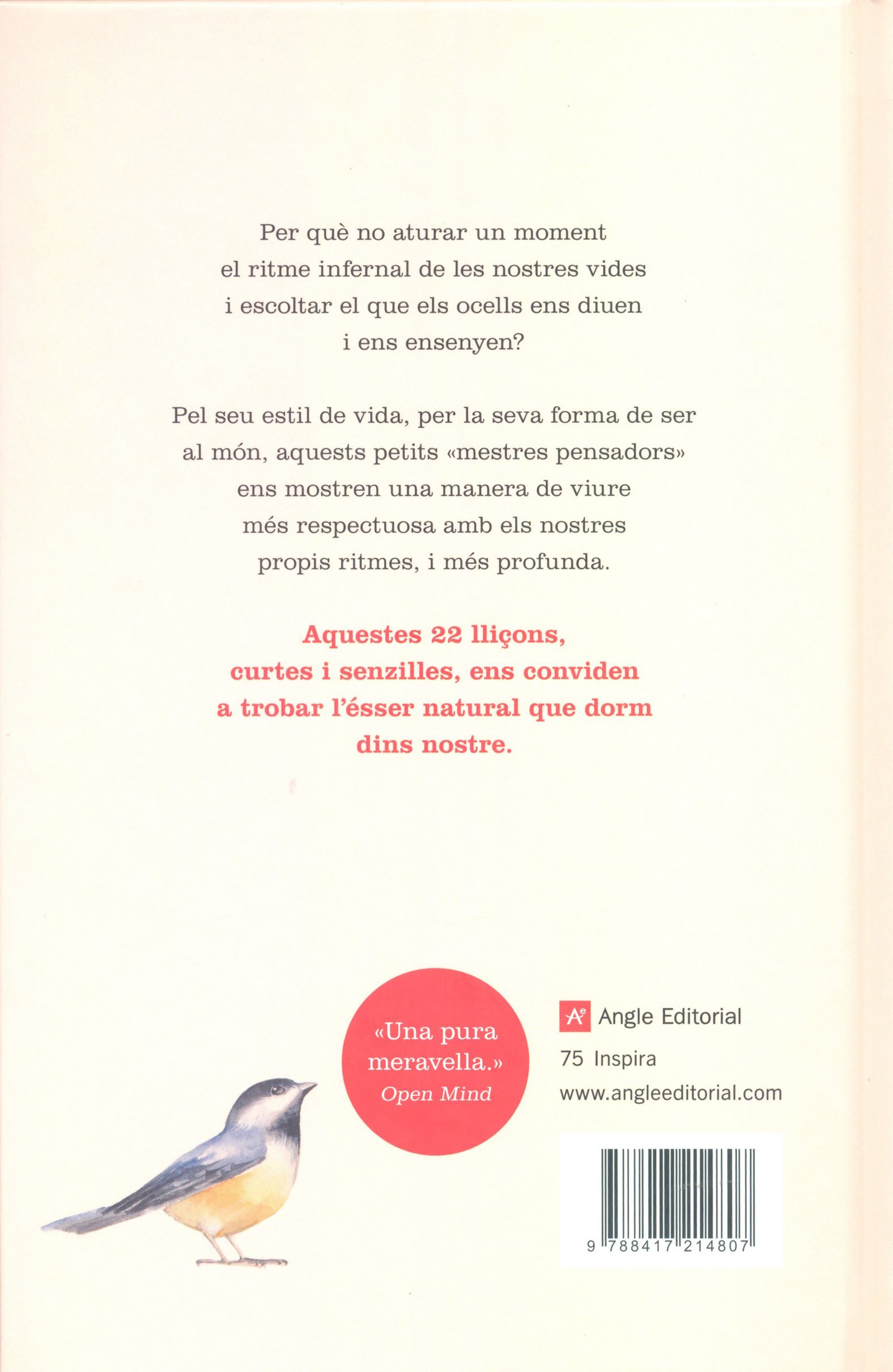 petita filosofia dels ocells