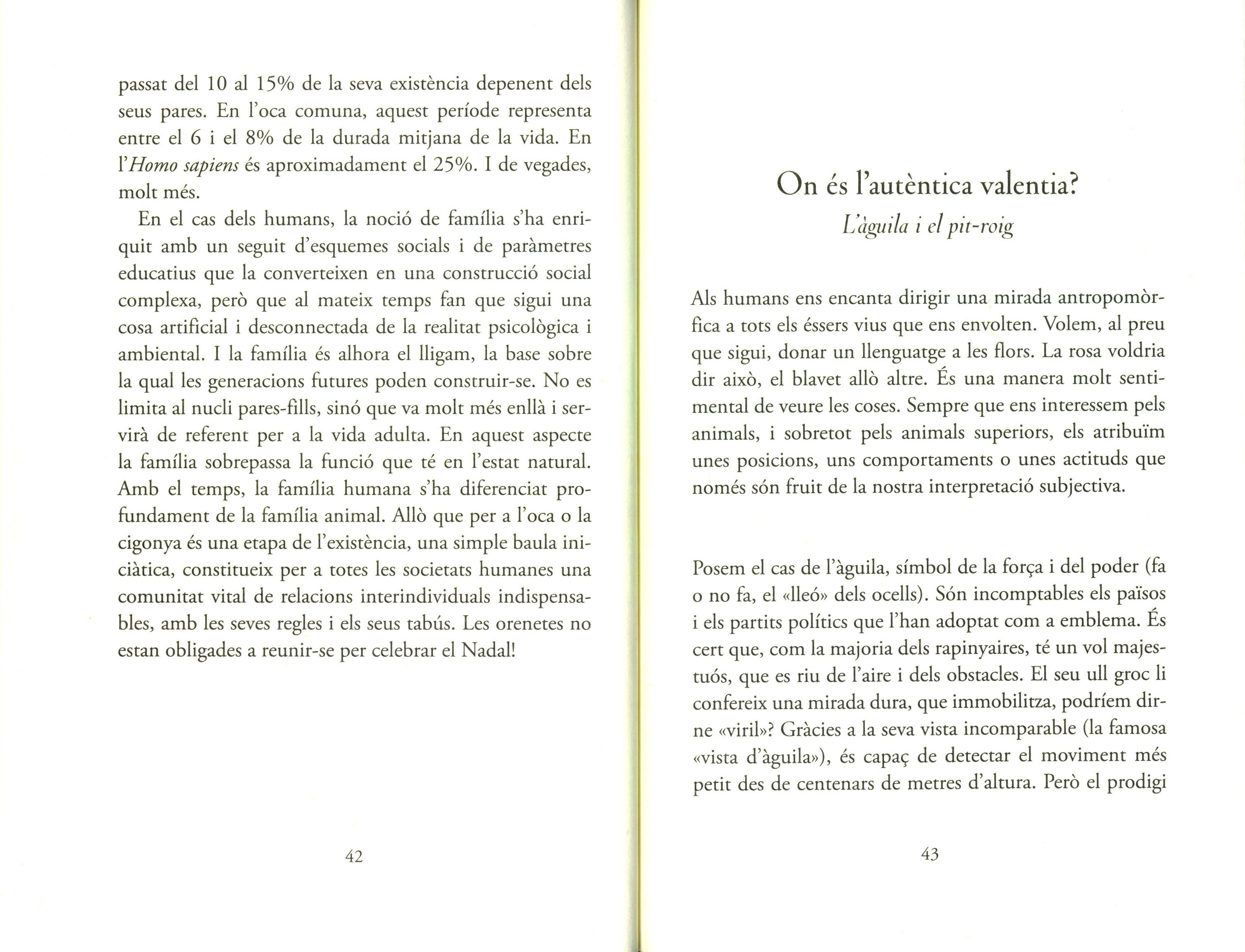 petita filosofia dels ocells