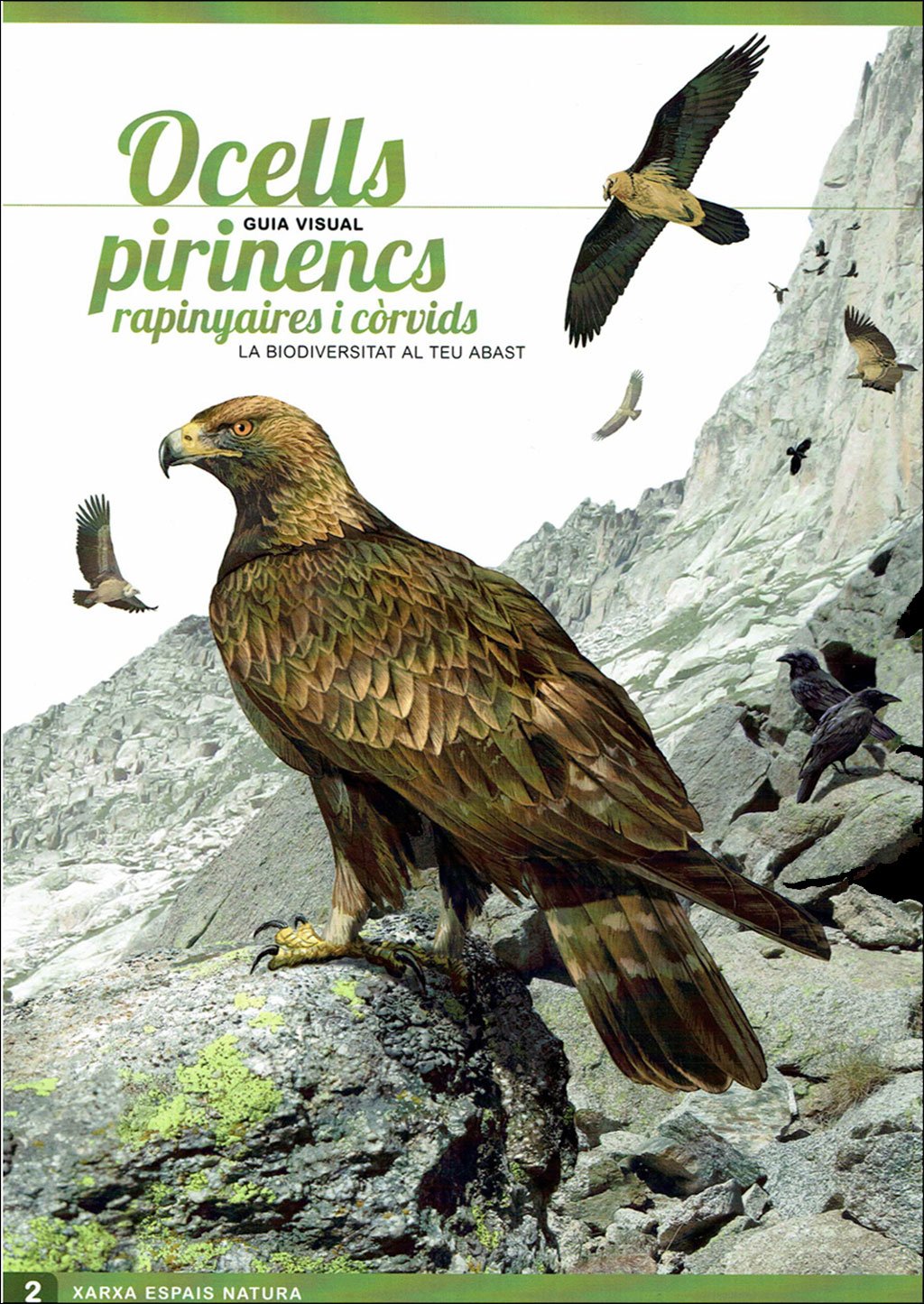 pirinencs. 6 guies visuals de flora i fauna