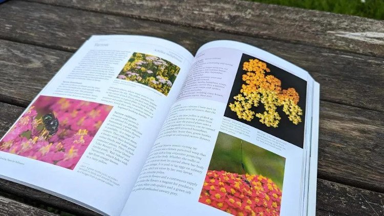 planting for pollinators. creating a garden heaven