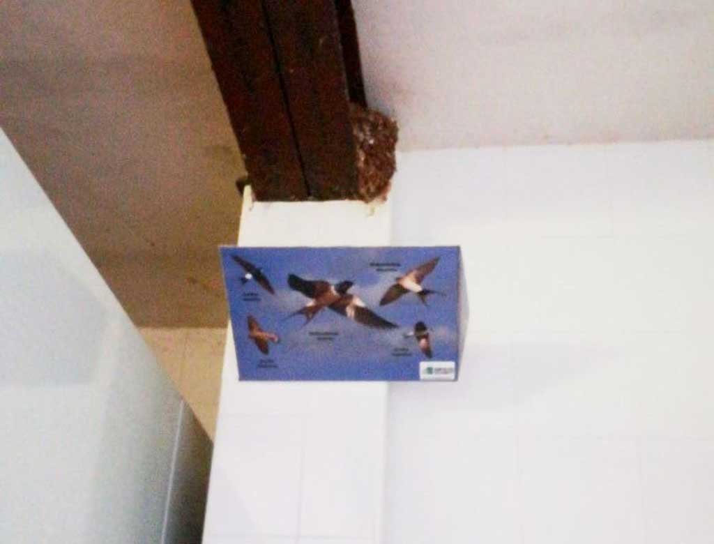 recogedor de excrementos de golondrinas modelo volando