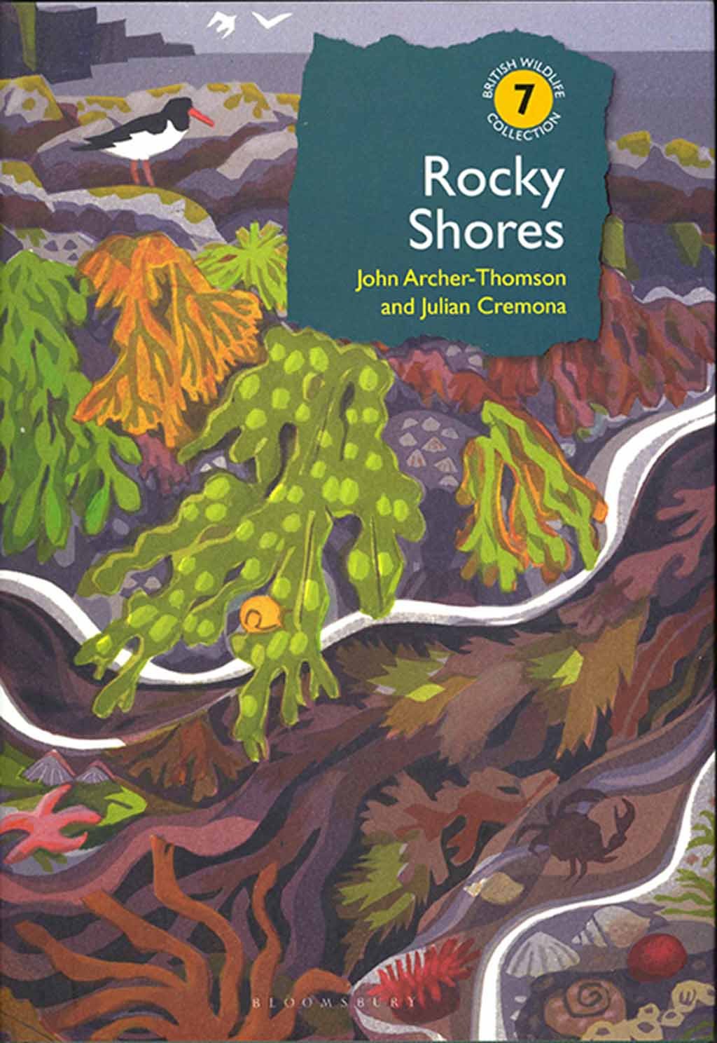 rocky shores
