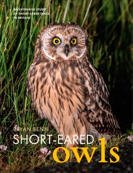 short-eared owls. an extensive study of short-eared owls in britain