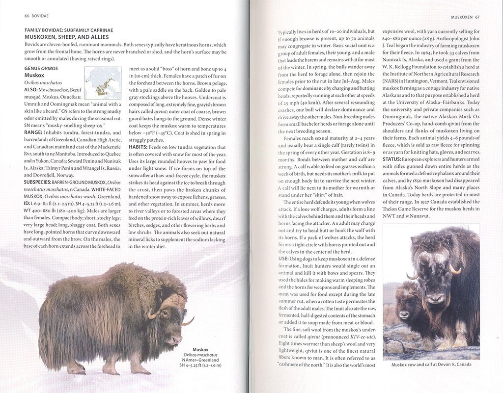 the arctic guide. wildlife of the far north