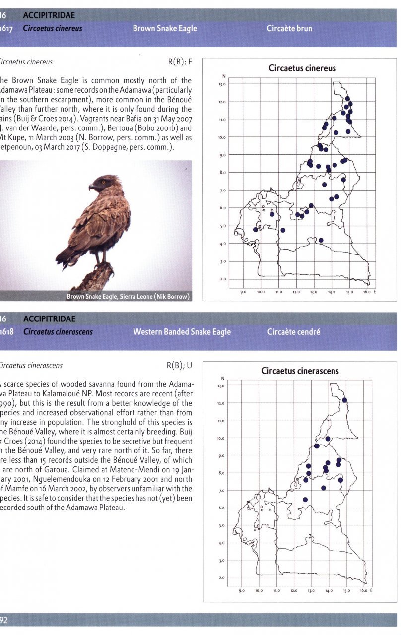 the birds of cameroon. their status and distribution