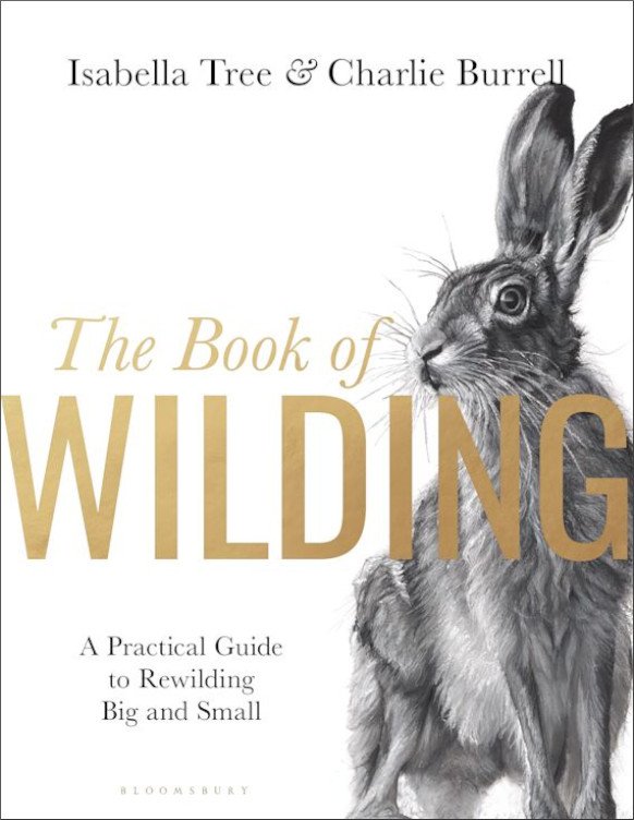 the book of wilding. a practical guide to rewilding, big and small
