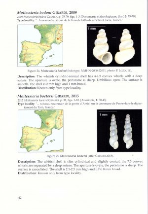 the freshwater gastropods of the west-palaearctis. volume 2: moitessieriidae, bythinellidae, stenothyridae