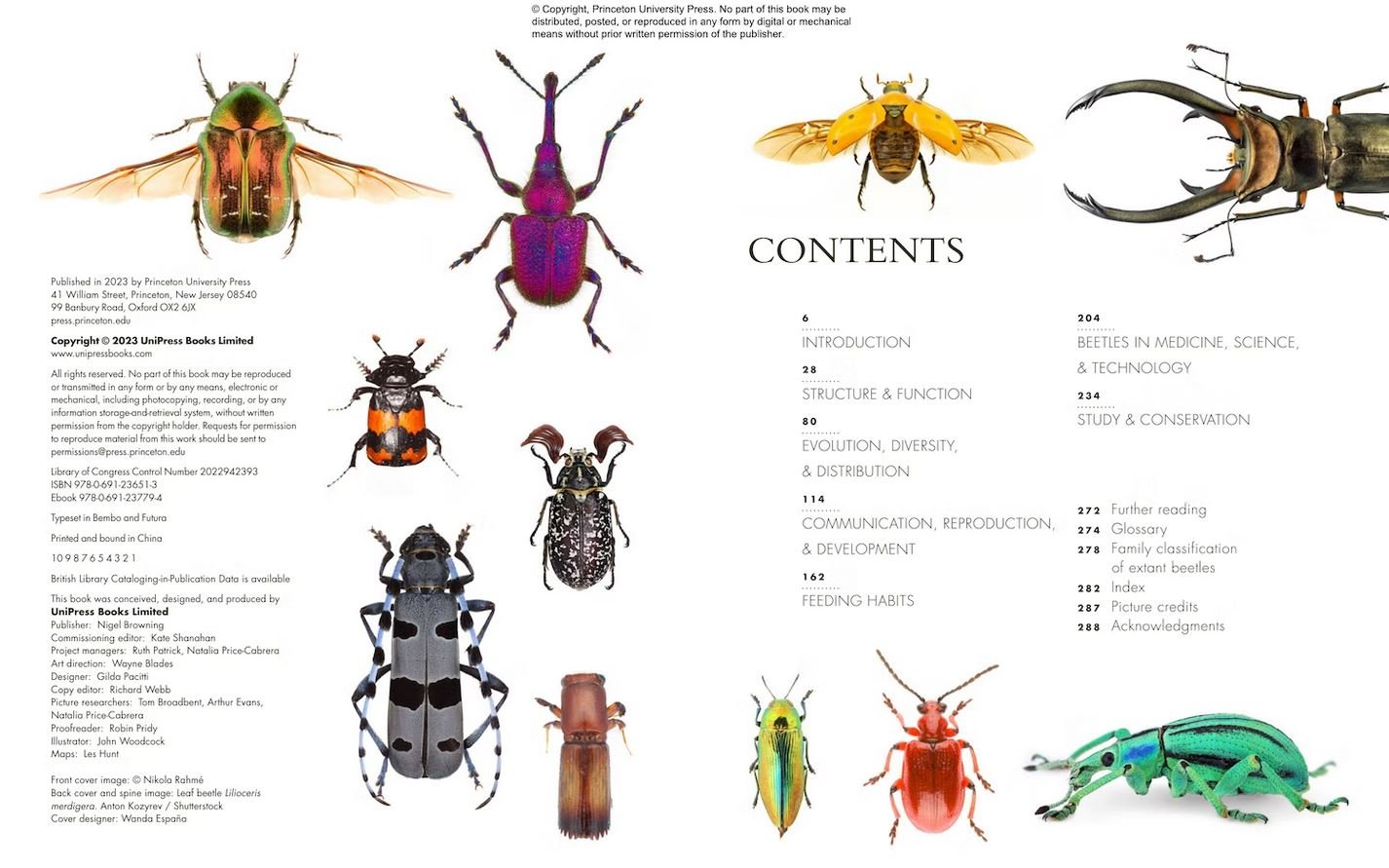 the lives of beetles. a natural history of coleoptera