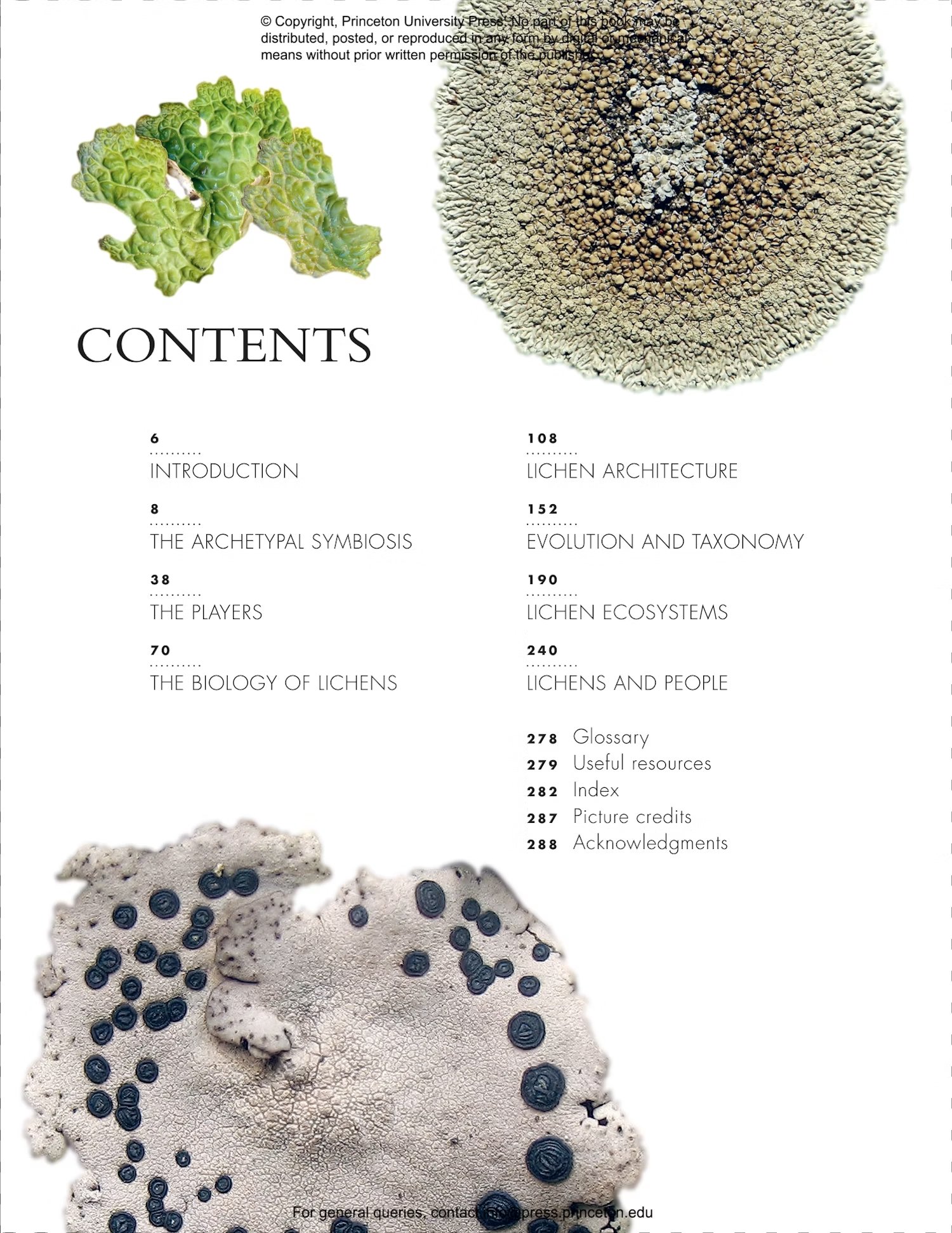 the lives of lichens: a natural history