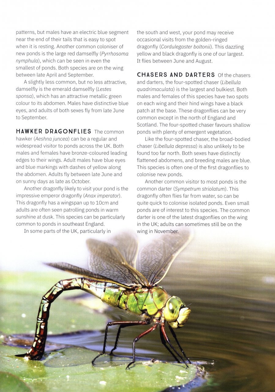 the wildlife pond book
