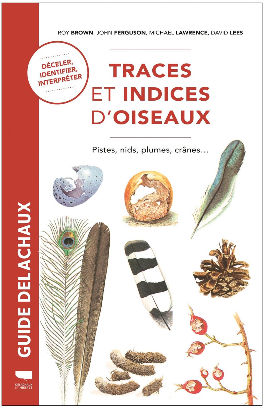 traces et indices d'oiseaux