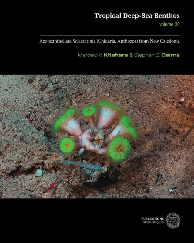 tropical deep-sea benthos