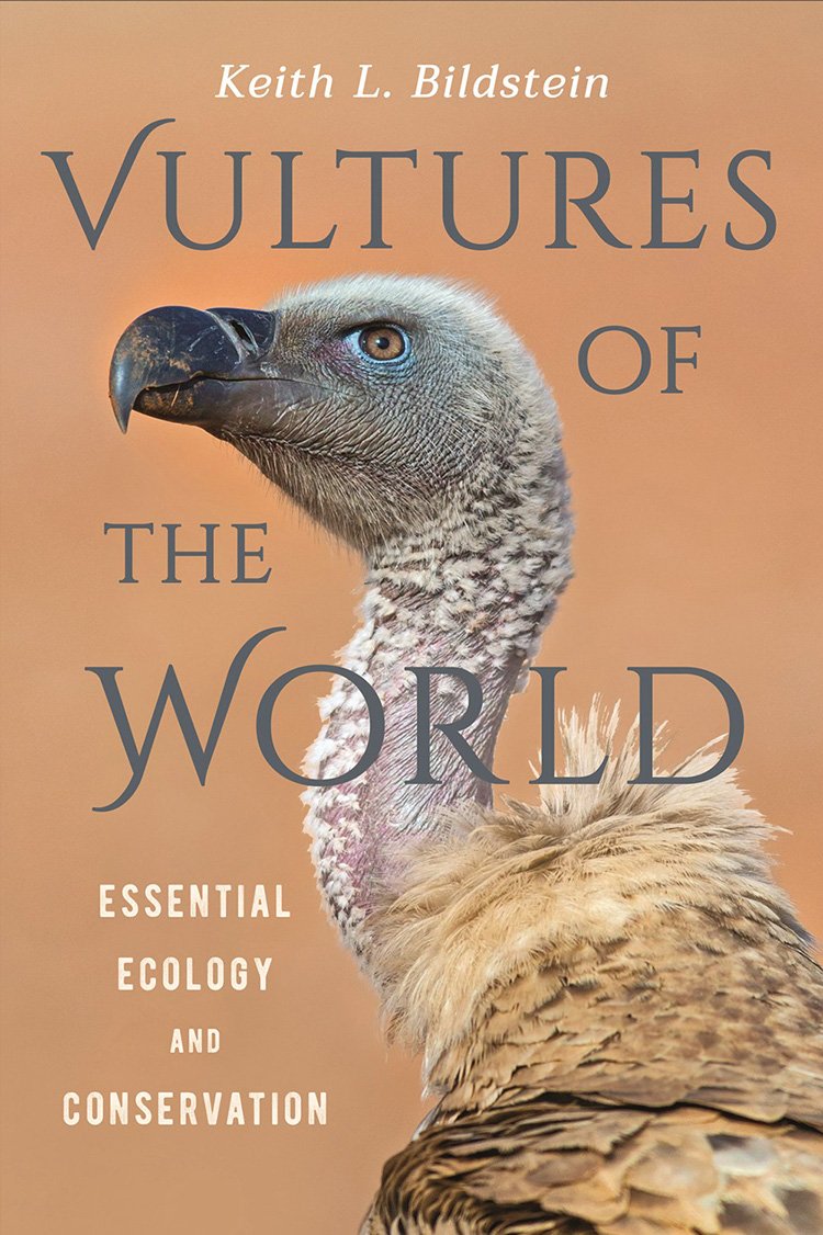 vultures of the world