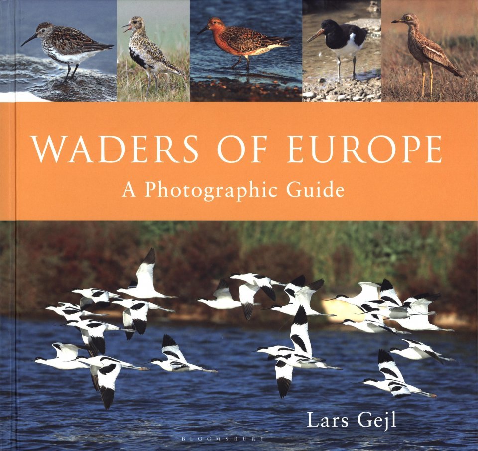 waders of europe. a photographic guide