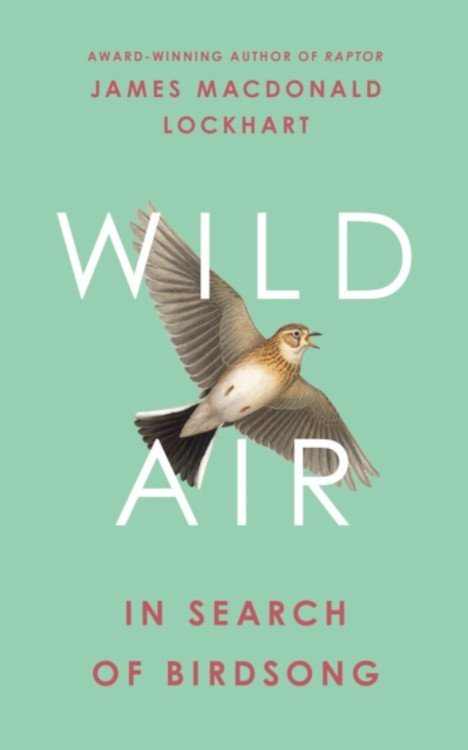 wild air. in search of birdsong