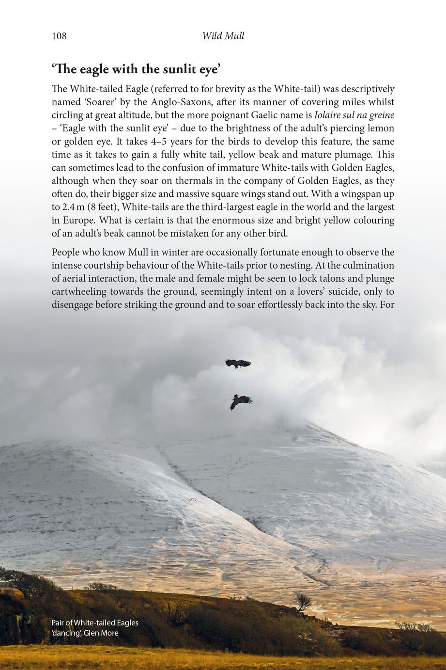 wild mull. a natural history of the island and its people