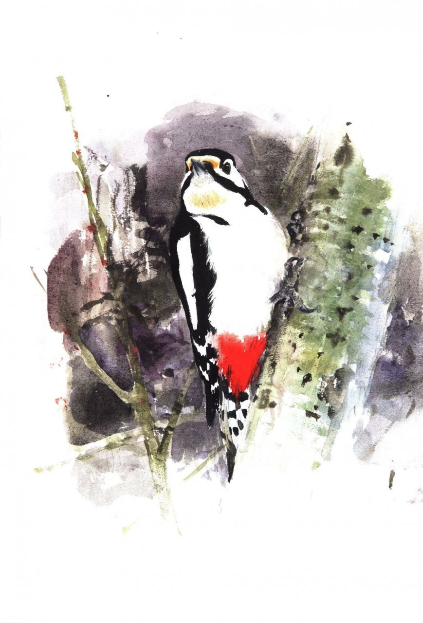 winter birds