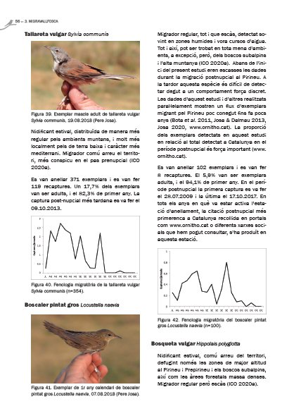 migra vall fosca. la migraci d'ocells passeriformes pel pirineu catal
