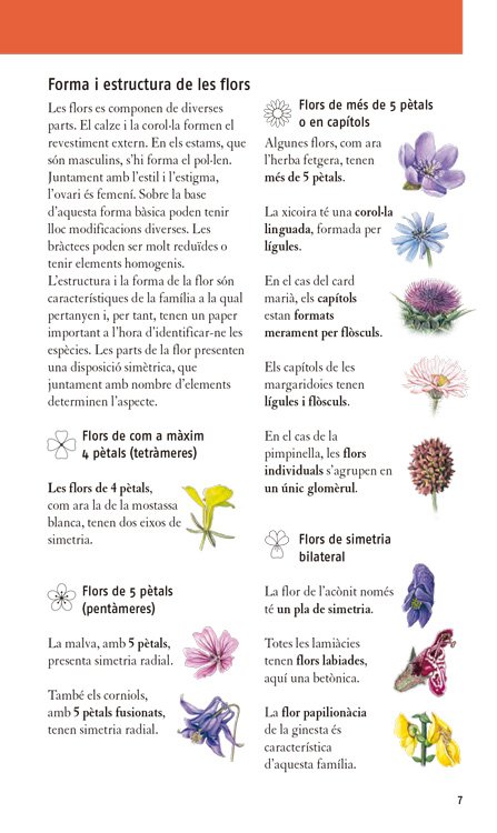 plantes medicinals. 350 espcies d'europa