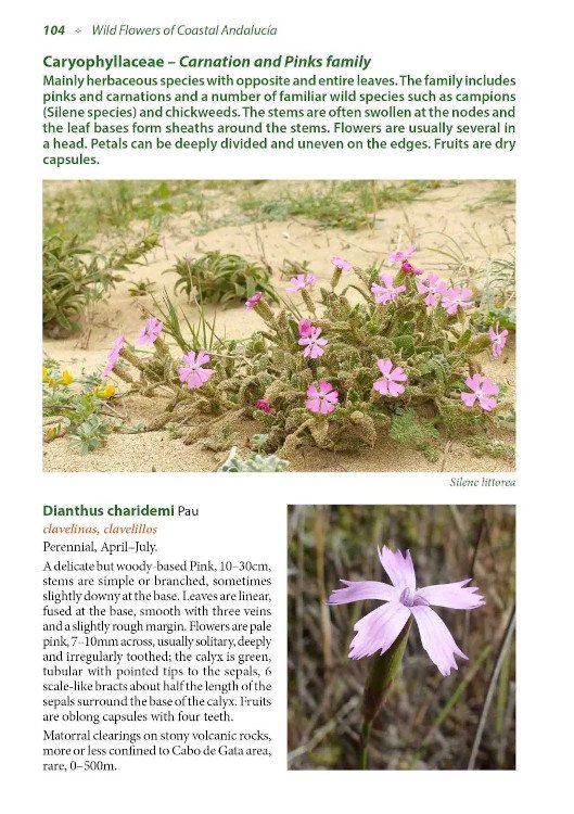 wild flowers of coastal andaluca. a photographic field guide