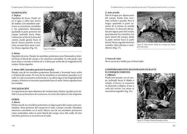 el aguar guaz chrysocyon brachyurus en la argentina. lecciones aprendidas y recomendaciones para su conservacin