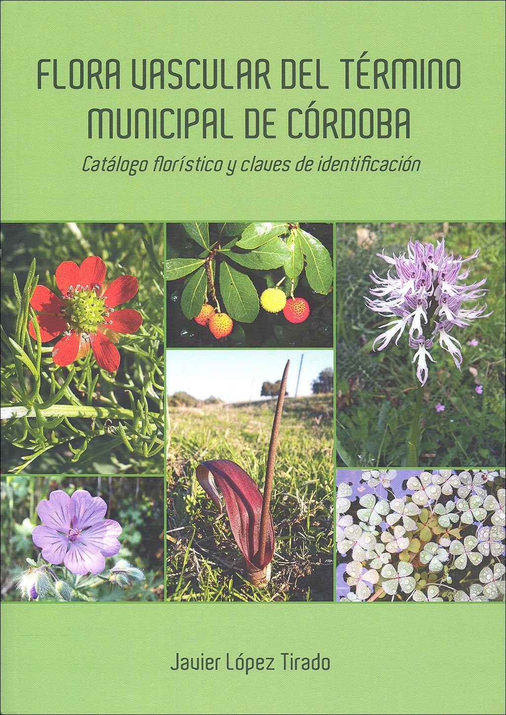 flora vascular del trmino municipal de crdoba