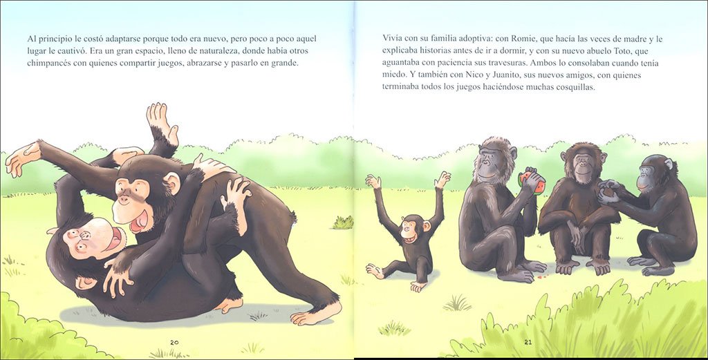 bongo. pequea historia de un chimpanc