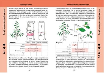 valuer la vitalit des arbres. guide d'utilitation de la mthode archi